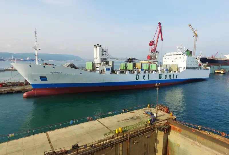 HORNBAY General Cargo IMO 8802002 photo 5