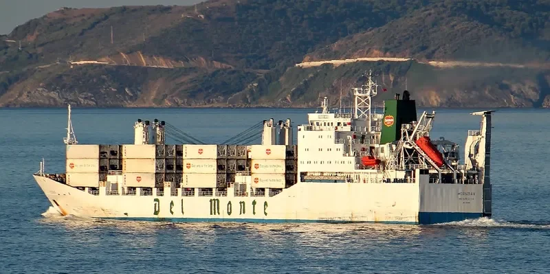 HORNBAY General Cargo IMO 8802002 photo 10