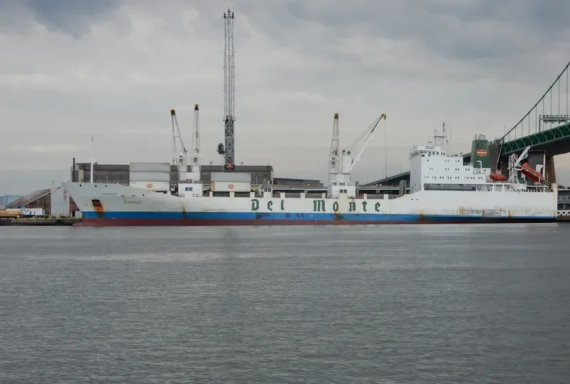 THORN1 Ro-Ro IMO 8802014