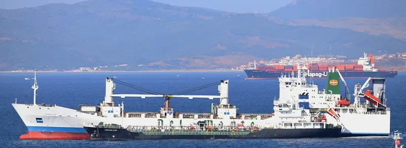 THORN1 Ro-Ro IMO 8802014 photo 2