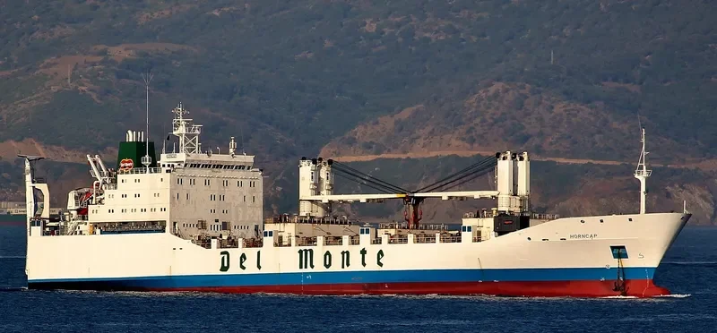 THORN1 Ro-Ro IMO 8802014 photo 3
