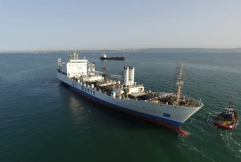 THORN1 Ro-Ro IMO 8802014 photo 7