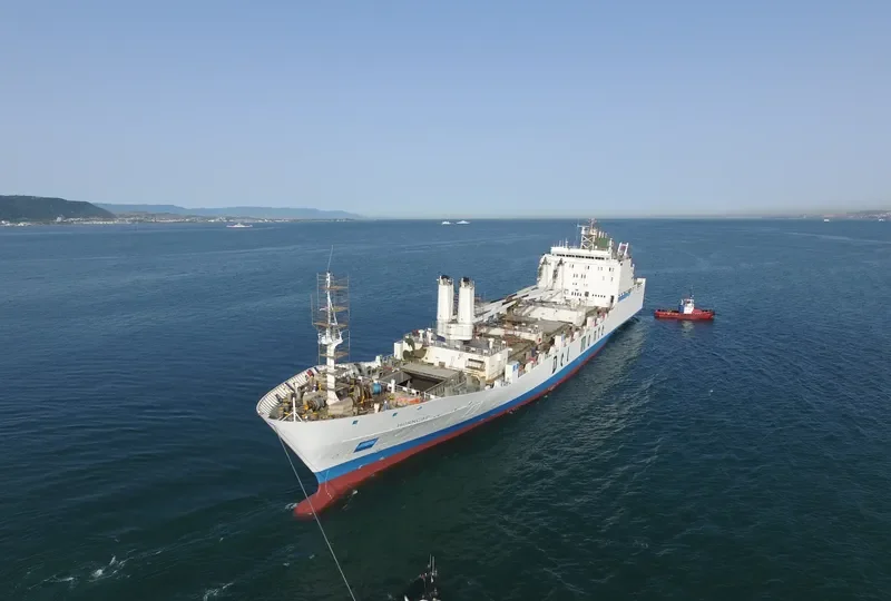 THORN1 Ro-Ro IMO 8802014 photo 8