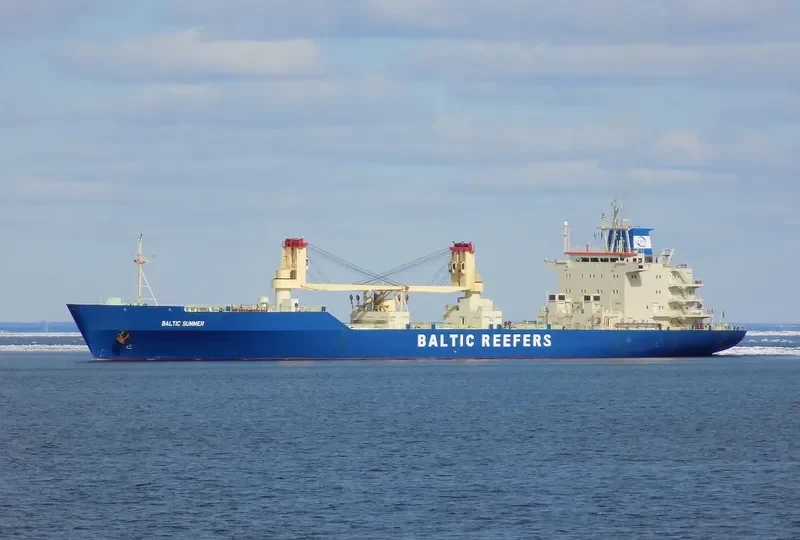 BALTIC SUMMER General Cargo IMO 8802090 photo 3