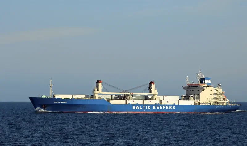 BALTIC SUMMER General Cargo IMO 8802090 photo 4