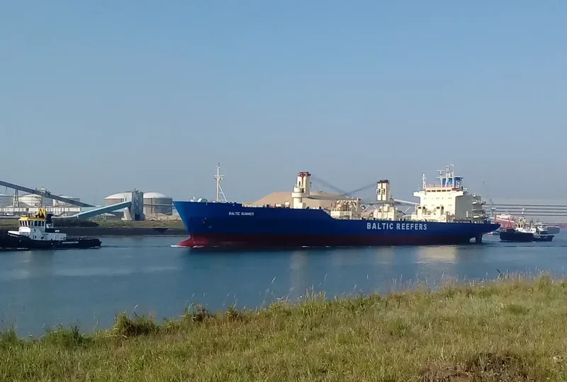 BALTIC SUMMER General Cargo IMO 8802090 photo 5