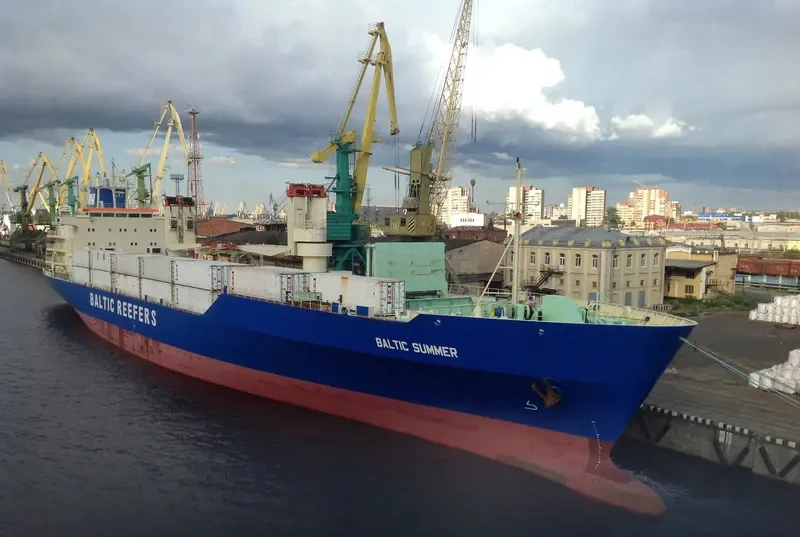 BALTIC SUMMER General Cargo IMO 8802090 photo 6