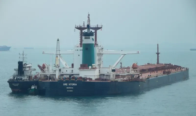 ORE VITORIA Bulk Carrier IMO 8802923
