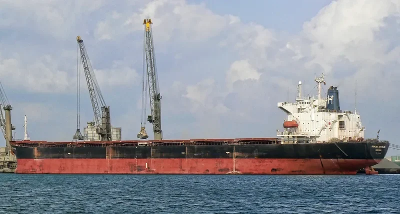 PRINCESS NATALIE Bulk Carrier IMO 8803446