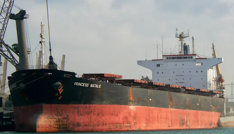 PRINCESS NATALIE Bulk Carrier IMO 8803446 photo 2