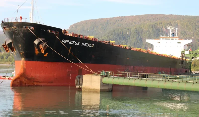 PRINCESS NATALIE Bulk Carrier IMO 8803446 photo 3