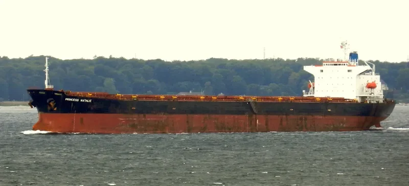 PRINCESS NATALIE Bulk Carrier IMO 8803446 photo 5