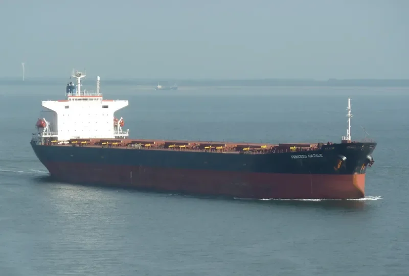 PRINCESS NATALIE Bulk Carrier IMO 8803446 photo 6