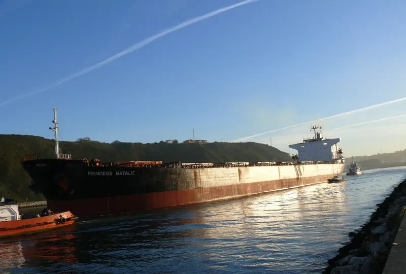PRINCESS NATALIE Bulk Carrier IMO 8803446 photo 9