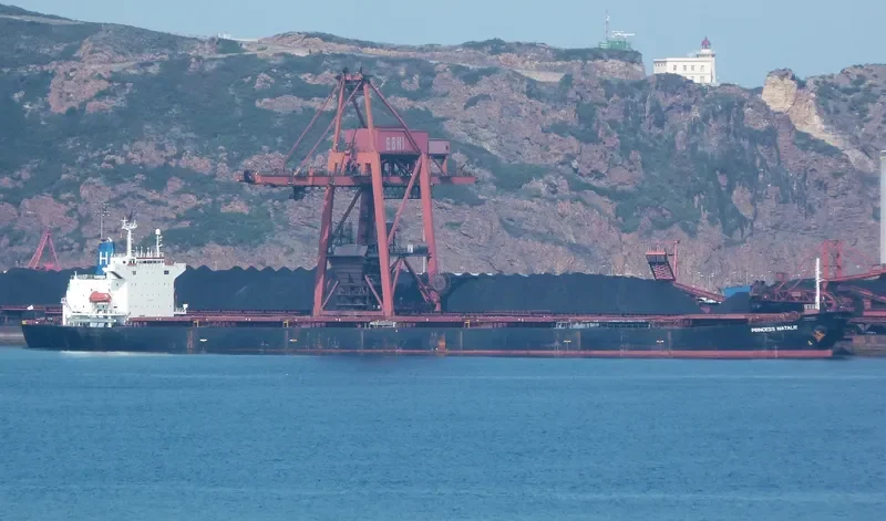 PRINCESS NATALIE Bulk Carrier IMO 8803446 photo 10