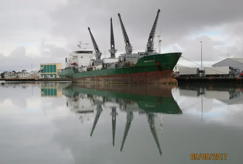 GREEN SELJE General Cargo IMO 8804529