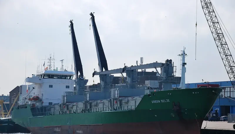 GREEN SELJE General Cargo IMO 8804529 photo 5