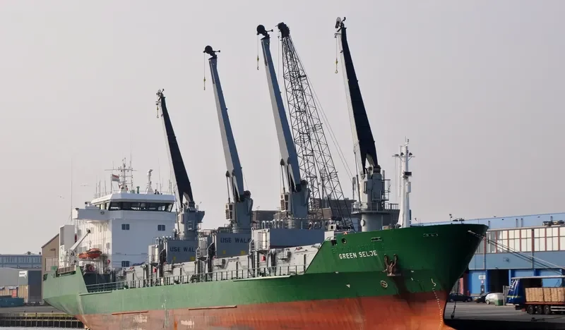 GREEN SELJE General Cargo IMO 8804529 photo 6