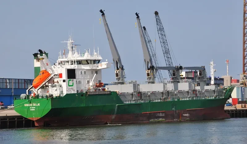 GREEN SELJE General Cargo IMO 8804529 photo 7