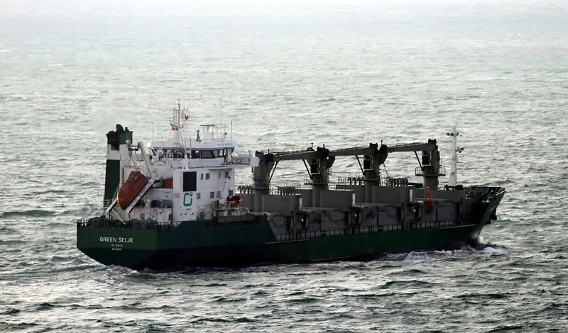 GREEN SELJE General Cargo IMO 8804529 photo 8