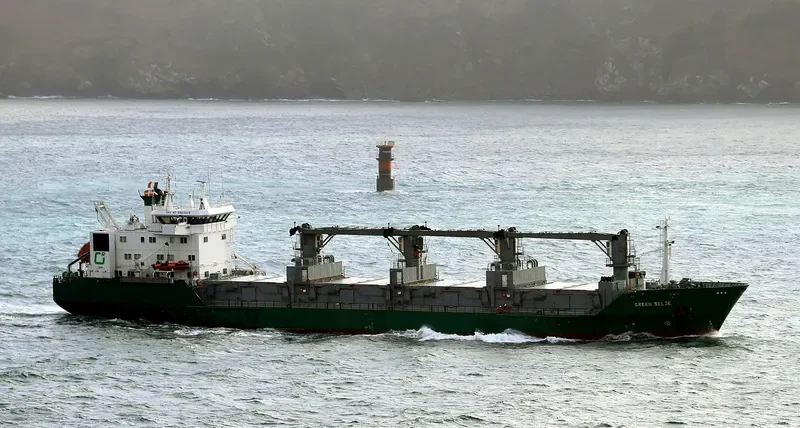 GREEN SELJE General Cargo IMO 8804529 photo 9
