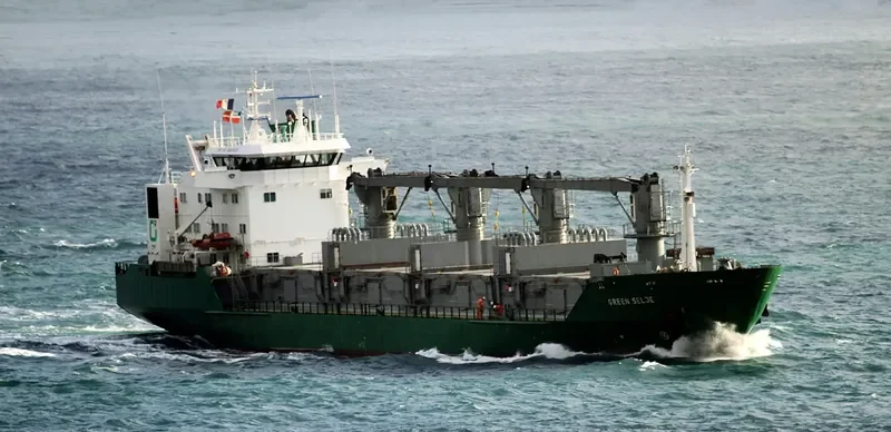 GREEN SELJE General Cargo IMO 8804529 photo 10