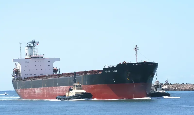 MICHELLE HK Bulk Carrier IMO 8805169