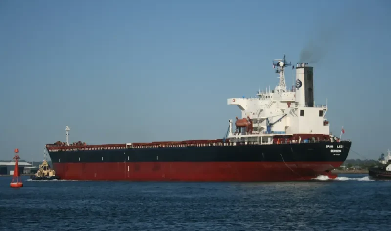 MICHELLE HK Bulk Carrier IMO 8805169 photo 2