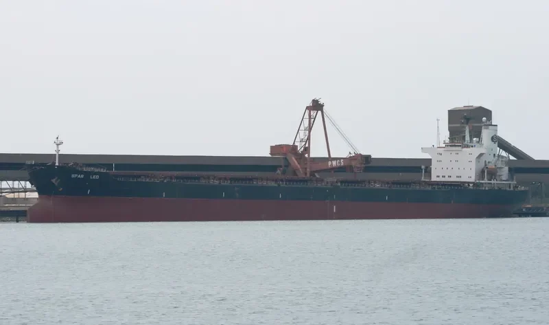 MICHELLE HK Bulk Carrier IMO 8805169 photo 3