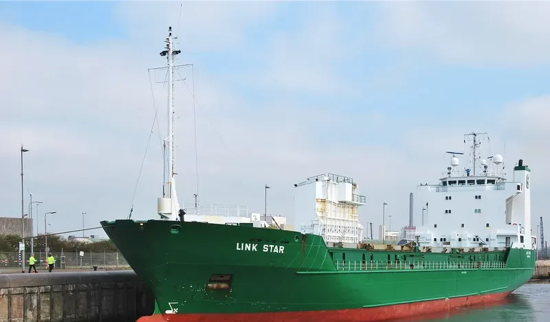 LINK STAR Ro-Ro IMO 8805602 photo 3