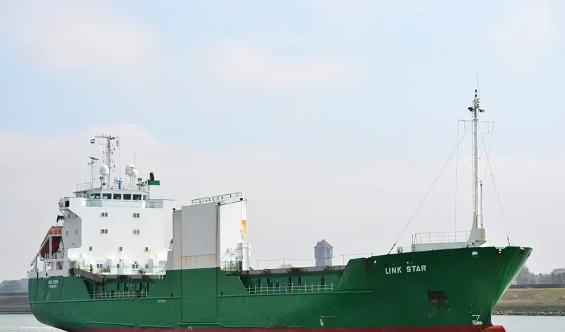 LINK STAR Ro-Ro IMO 8805602 photo 4