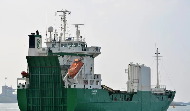 LINK STAR Ro-Ro IMO 8805602 photo 5