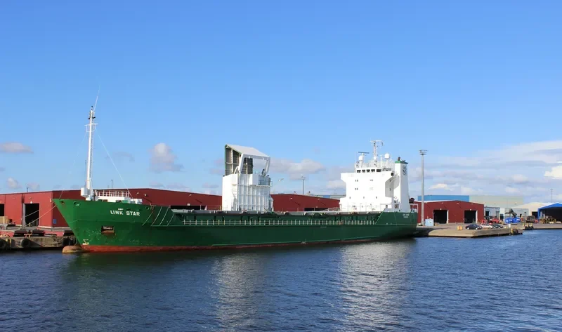 LINK STAR Ro-Ro IMO 8805602 photo 6