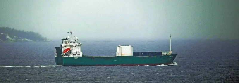 LINK STAR Ro-Ro IMO 8805602 photo 7