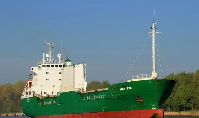 LINK STAR Ro-Ro IMO 8805602 photo 10