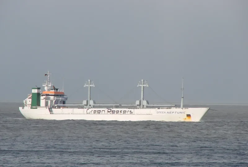 GREEN NEPTUNIC General Cargo IMO 8805614 photo 8
