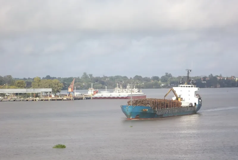 RAYES General Cargo IMO 8806151 photo 4