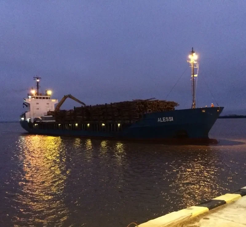 RAYES General Cargo IMO 8806151 photo 6