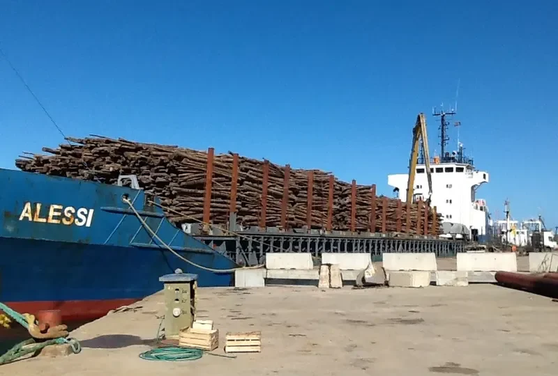 RAYES General Cargo IMO 8806151 photo 8