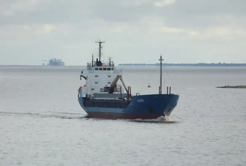 RAYES General Cargo IMO 8806151 photo 9