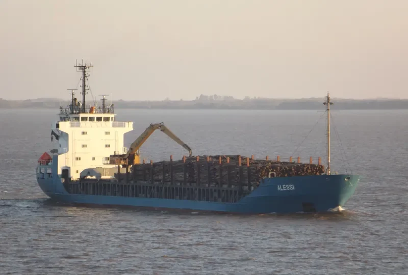 RAYES General Cargo IMO 8806151 photo 10