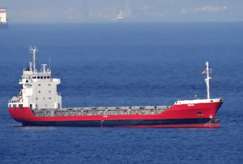 ARINA General Cargo IMO 8806163