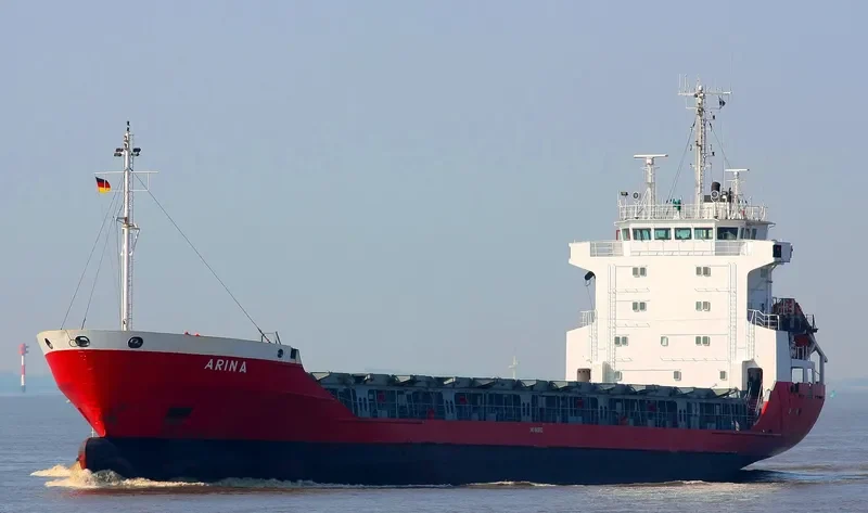 ARINA General Cargo IMO 8806163 photo 2