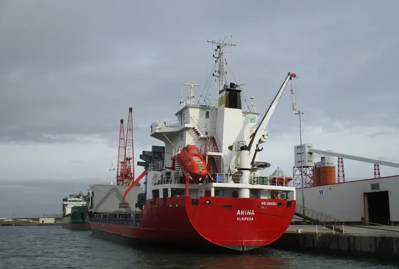ARINA General Cargo IMO 8806163 photo 4