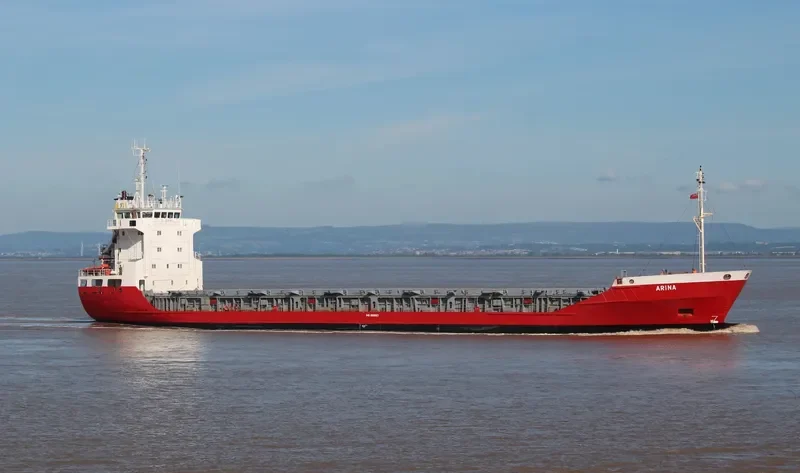 ARINA General Cargo IMO 8806163 photo 7