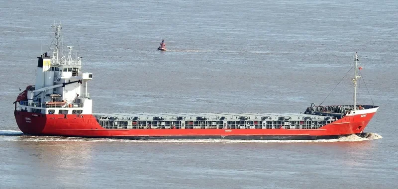 ARINA General Cargo IMO 8806163 photo 8