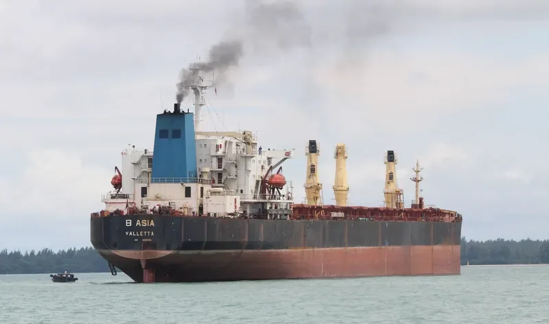 SHUN FU Bulk Carrier IMO 8806503 photo 4
