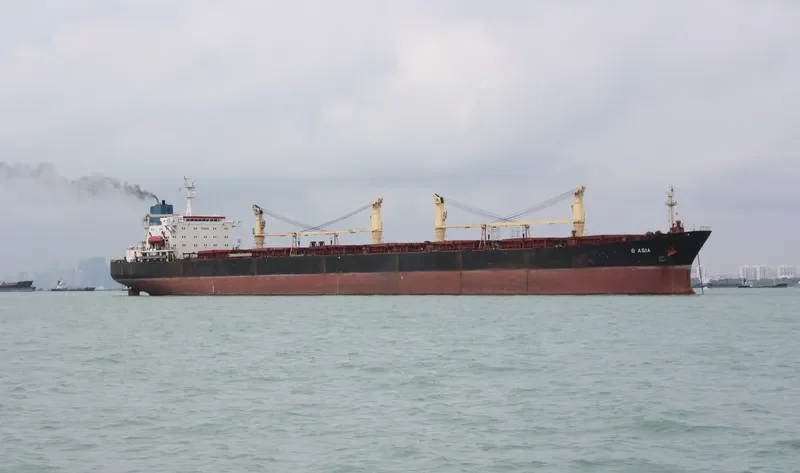 SHUN FU Bulk Carrier IMO 8806503 photo 5