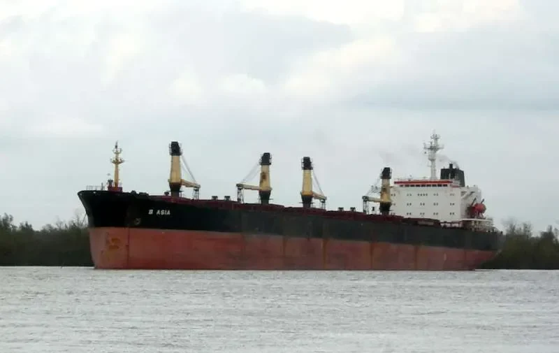 SHUN FU Bulk Carrier IMO 8806503 photo 6