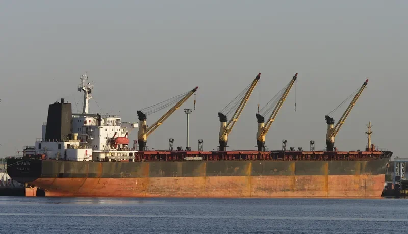 SHUN FU Bulk Carrier IMO 8806503 photo 7